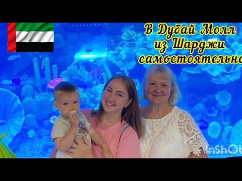 ОАЭ -  2023 г. Едем самостоятельно из Шарджи в Дубай. DubaiMall, Аквариум, Бурж Халифа, фонтаны.