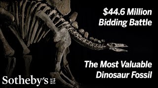 Historic Bidding Battle for Stegosaurus Fossil Sets New Auction Record at $44.6 Million | Sotheby’s