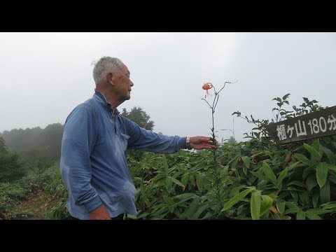 星山登山