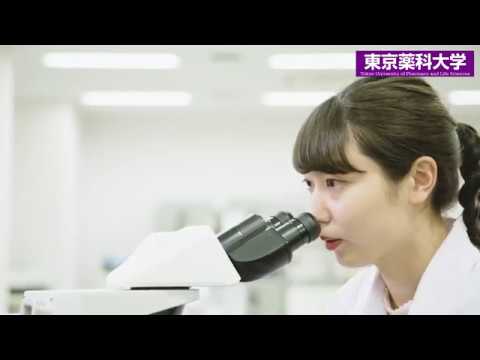 東京薬科大学紹介ムービー　生命科学部ver.