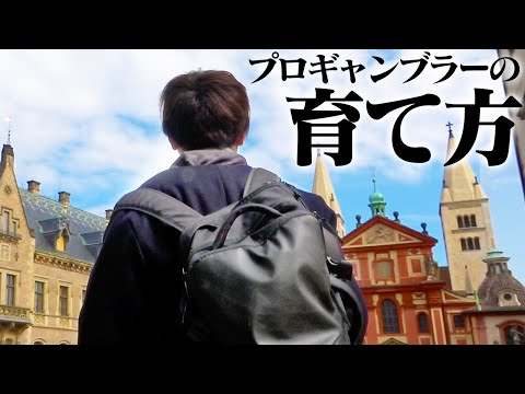 【ド偏見】今日から使える！プロギャンブラーの育て方