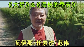 《大梦&漫长的季节》【瓦伊那/任素汐&范伟】  | 音乐的力量 | 乐队的夏天 | 超还原剧情完整MV |