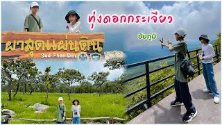 พาเที่ยวชมทุ่งดอกกระเจียว อุทยานแห่งชาติป่าหินงาม | ชัยภูมิ