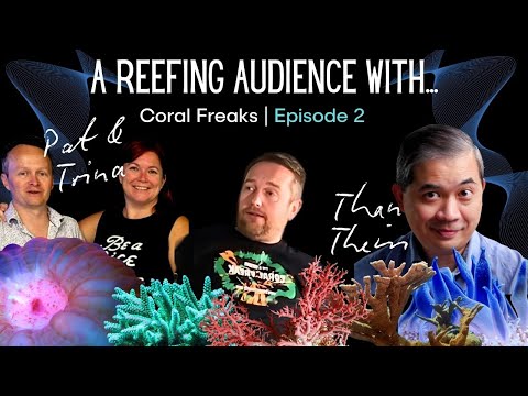 A Reefing Audience With... | Coral Freaks 2024 | Episode 2 - Pat & Trina Reef Wholesale & Than Thein