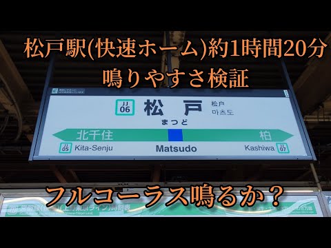 【フルコーラス鳴るか？】松戸駅(快速ホーム)で約1時間20分鳴りやすさ検証してみた結果  第58弾