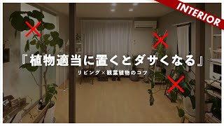 【植物を置くコツ】観葉植物を適当に置くとインテリアがダサくなる（視聴者アドバイス企画）