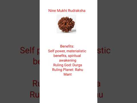 Nine Mukhi Rudraksha #shorts #ytshortsindia #rudraksha