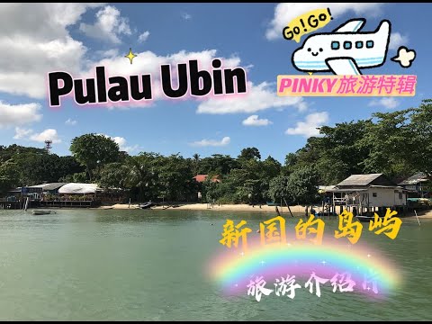 [日常VLOG] 新加坡也有岛?  Pulau Ubin 到底是个怎样的地方 介绍 新国旅游片