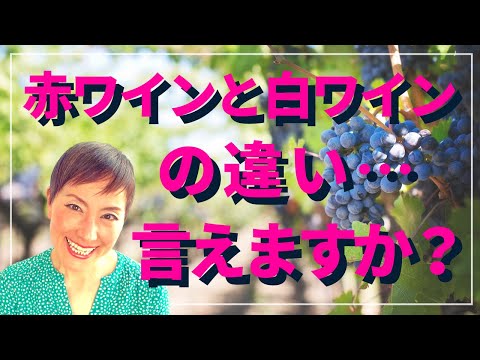 赤ワインと白ワインの違い言えますか？｜これだけ知ってればオッケーなワイン知識