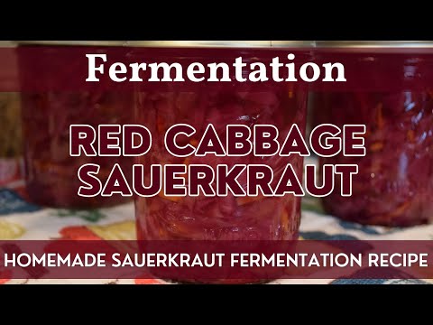 How to Make Red Cabbage Sauerkraut | Fermentation | Easy Home Fermentation Project Using Red Cabbage