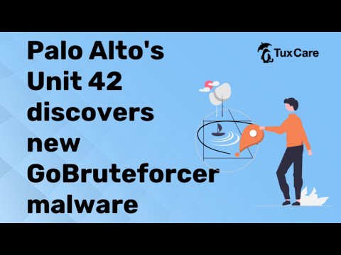 Palo Alto’s Unit 42 discovers NEW GoBruteforcer MALWARE I l CYBERSECURITY NEWS 🗞️