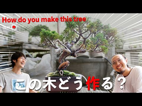 How to make a bonsai in this season. Kanta's Bonsai Class [Bonsai Q]