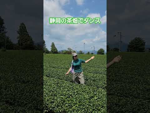 静岡の茶畑でダンスを踊るタイ人の彼女はノリノリ　#静岡　#茶畑