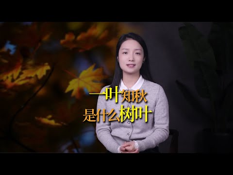 一葉知秋的「葉」，是什麼樹的葉子？光陰荏苒的「荏苒」是什麼？