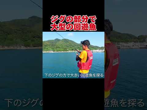 回遊魚がいるかを確かめる釣り方がこちら#釣り#福岡釣り#大島