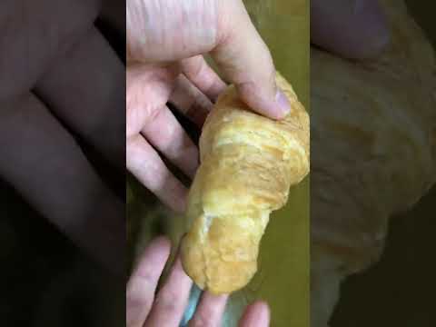 クロワッサンサンド（croissant sandwich）「フジパン」 #shorts #sweet bread #菓子パン