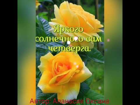 С добоым утром и замечательного настроения,друзья!💥🌺💥🌺💥🌺💥