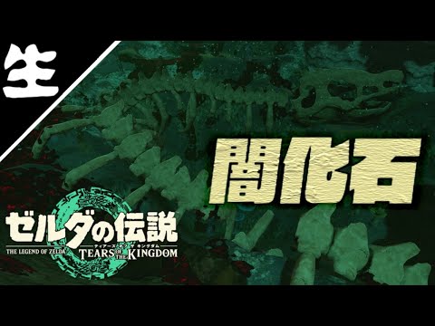 生【考察視点の】ティアーズオブザキングダム　闇化石の調査回