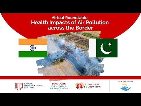 Virtual Roundtable: Health Impacts of Air Pollution across the Border