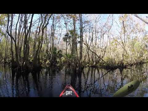 KAYAKING BLACK WATER CREEK TO LAKE NORRIS