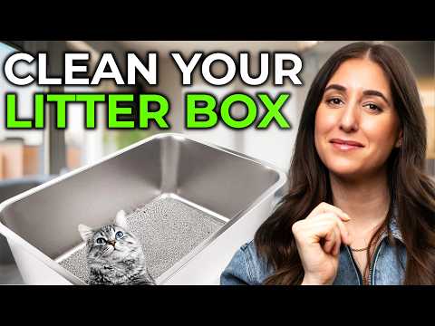 How To Keep Your Cat's Litter Box Clean (Tips & Tools)