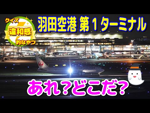 あれ？どこだ？ 羽田空港第１ターミナルで感じた違和感とは？