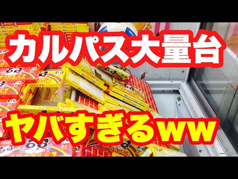 カルパスが超大量のクレーンゲームww【クレーンゲーム】