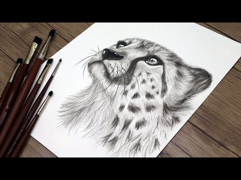 How to Draw a Realistic Cheetah Head Step by Step | Pencil Drawing Tutorial | Animals Sketch