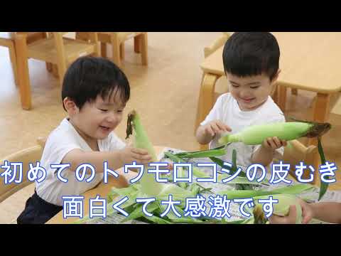 幼稚園実習菜園での食育環境教育