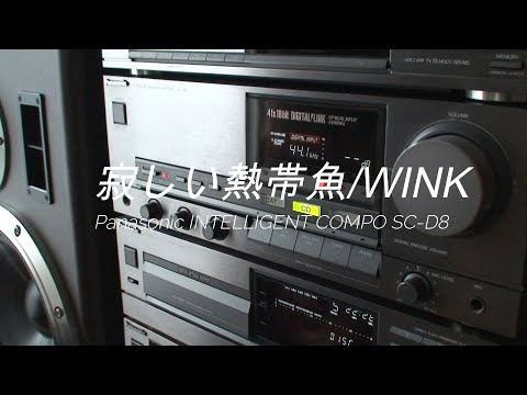 1989年 ﾊﾞﾌﾞﾙｺﾝﾎﾟ 超絶激レアアイテム ガンメタインテリジェント‼しかも、フルセット！ Panasonic SC－D8‼　曲は、寂しい熱帯魚/WINK で‼