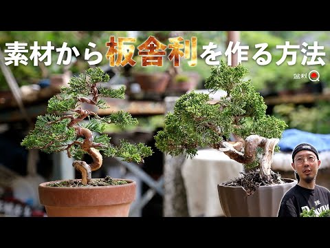 [Juniper] How to make a plank relic from raw materials [Bonsai Q]