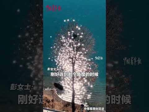 女子拍到波光粼粼的水面和树木同框，画面就像树上长满了闪闪发光的树叶。（来源：中国青年报）