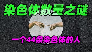 为什么会产生44条染色体的人?一个新种是这样诞生的吗!Why do people have 44 chromosomes