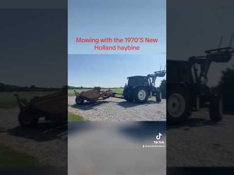 Cutting & Crimping The Sorghum Sundan Grass #shortsvideo