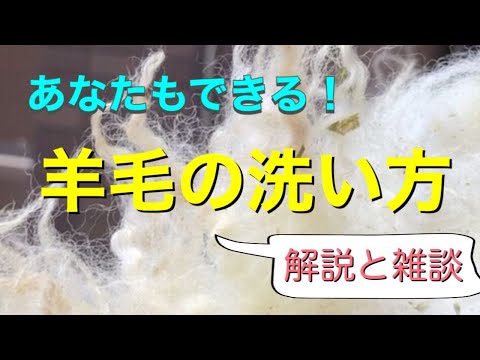 【羊毛しごと】羊毛の洗い方～説明と雑談～/毛刈りした羊毛の洗い方/ハンドメイド /羊毛クラフト