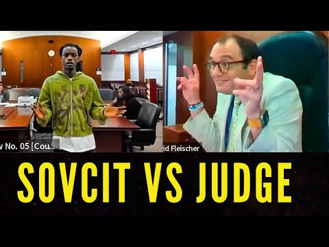 Sovereign Citizen’s Absurd Demands GET SHUT DOWN By Sassy Judge