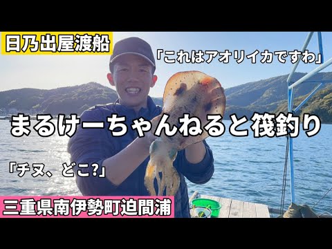 【かかり釣り】三重県南伊勢町迫間浦でアオリイカが大量にいる渡船屋