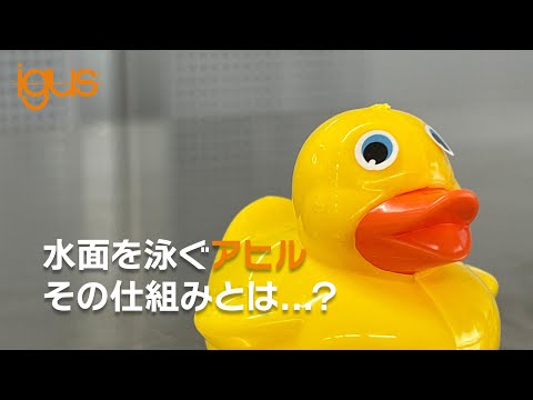 水面を泳ぐアヒル。その仕組みとは...？