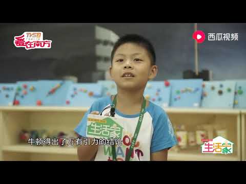 科学智趣营，解答“十万个为什么”，让小朋友也变成“小牛顿”！