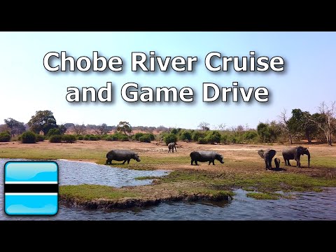 Chobe River Cruise and Game Drive | Botswana 🇧🇼