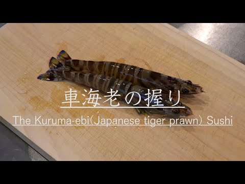【活きた車海老】沖縄の車海老を仕入れて仕込みから握り寿司になるまでを紹介　How to make the Kuruma-ebi(Japanese tiger prawn) Sushi.