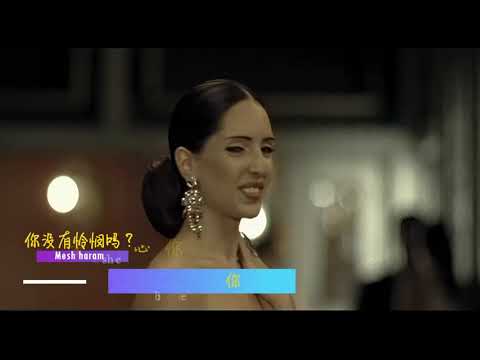 你是多么残忍Nancy Ajram Enta Eih 中字AI dtd3