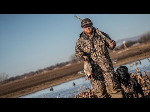 Duck Hunting Dogs: "Brookstone"