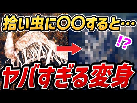 【エルデンリング DLC】拾い虫に〇〇すると・・・ヤバすぎる変身！！！【小ネタ・検証】