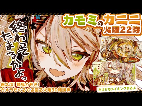 【終わってたまるかよっ】激動？の近況まとめ！絵を描く世界が好きなんだ！！／火曜日22時雑談🦆カモミのカニニ【#鴨見カモミ／CAMOMI Camomi】