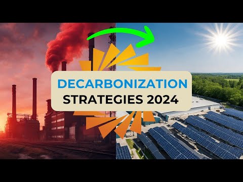 How Businesses Achieve Decarbonization in 2024