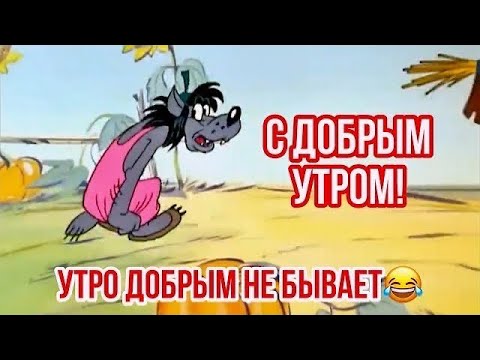 С добрым утром и хорошим днём! Отличного настроения👍 С добрым утром! Утро добрым не бывает😂