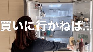 【食材まとめ買い】3カゴ分どっさり買い込む【主婦/収納/大量】