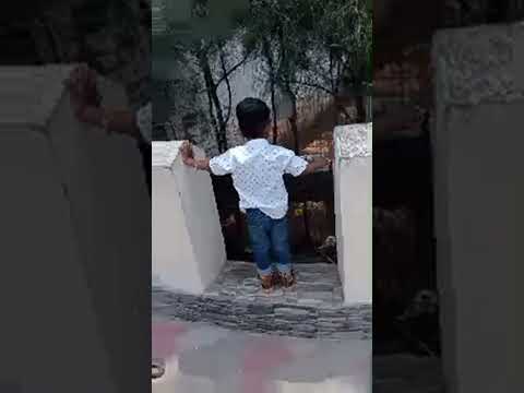 VDJ_Vlogs velangkanni Kovil garden 🦢🦤