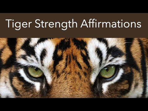 Tiger Strength Affirmations // Able ARTS Work